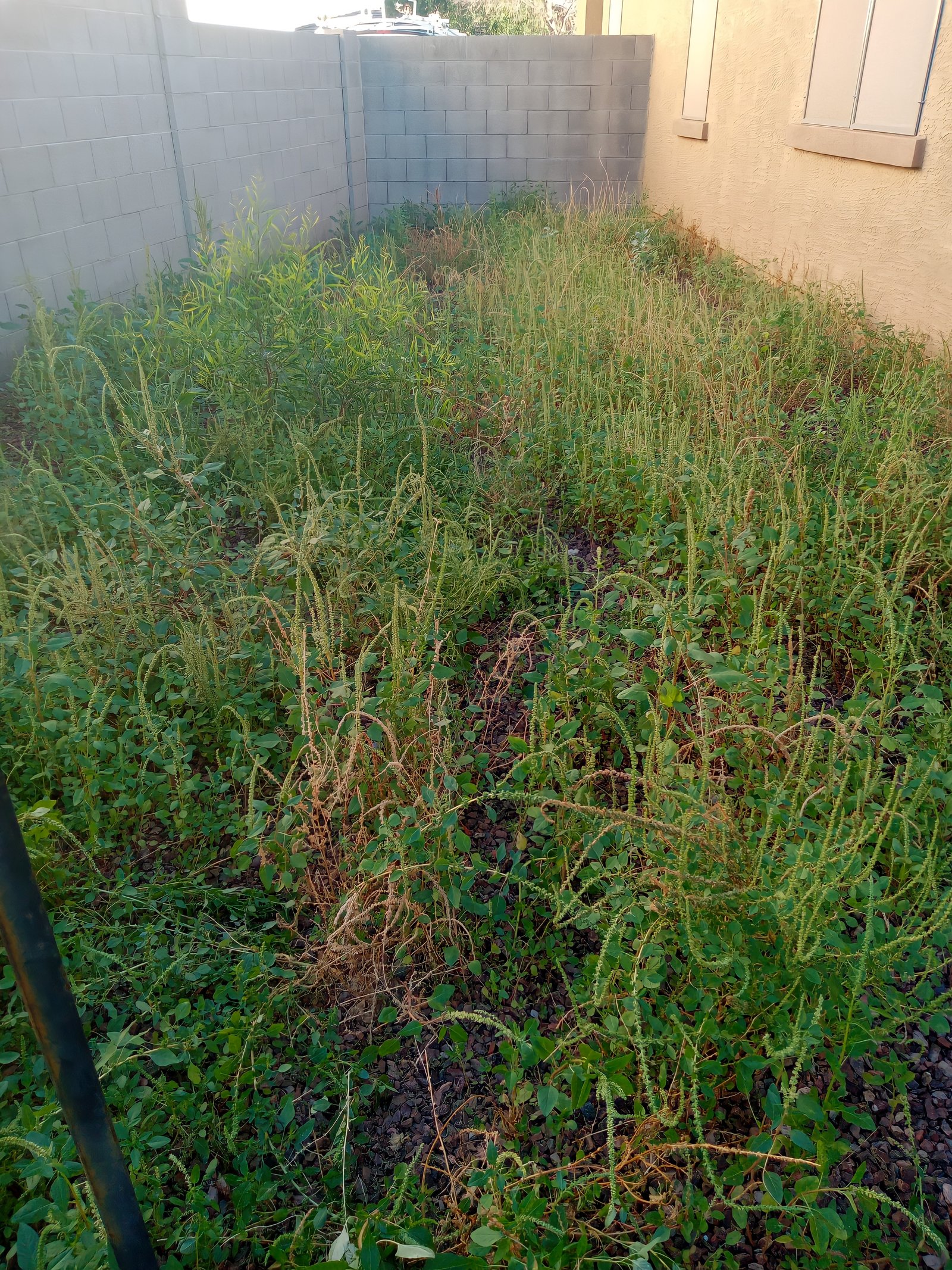 Eduardo's Landscaping: residential lawn maintenance and landscaping