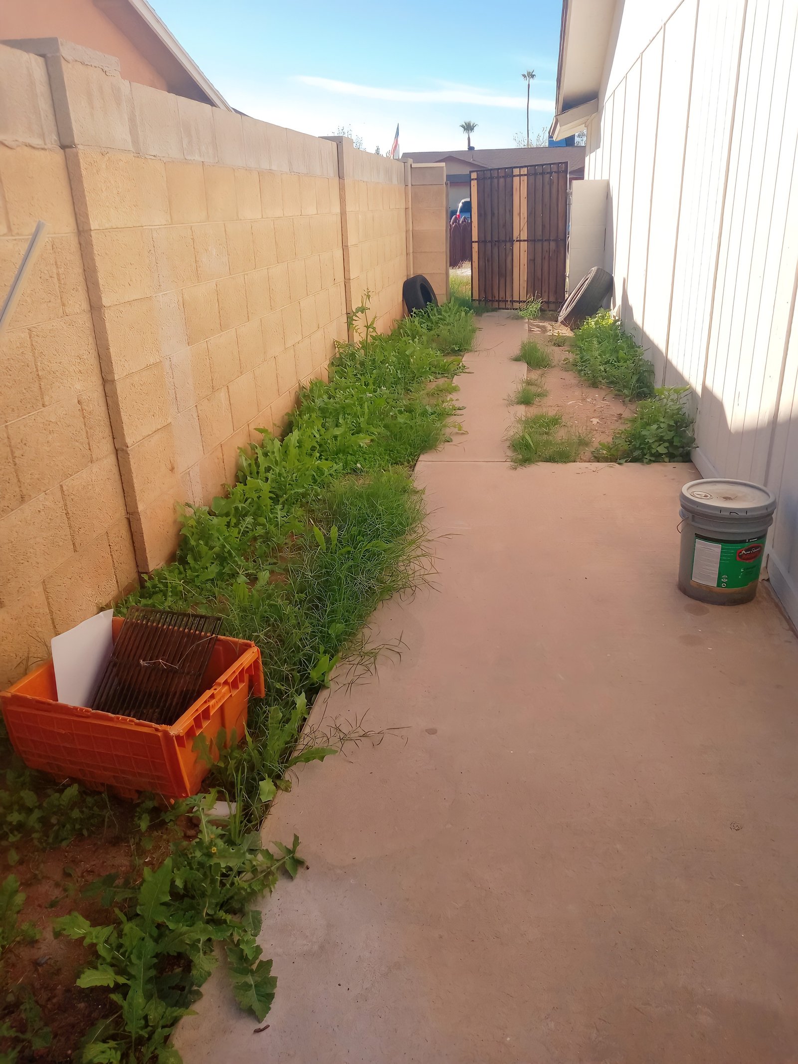 Eduardo's Landscaping: shrub and tree trimming