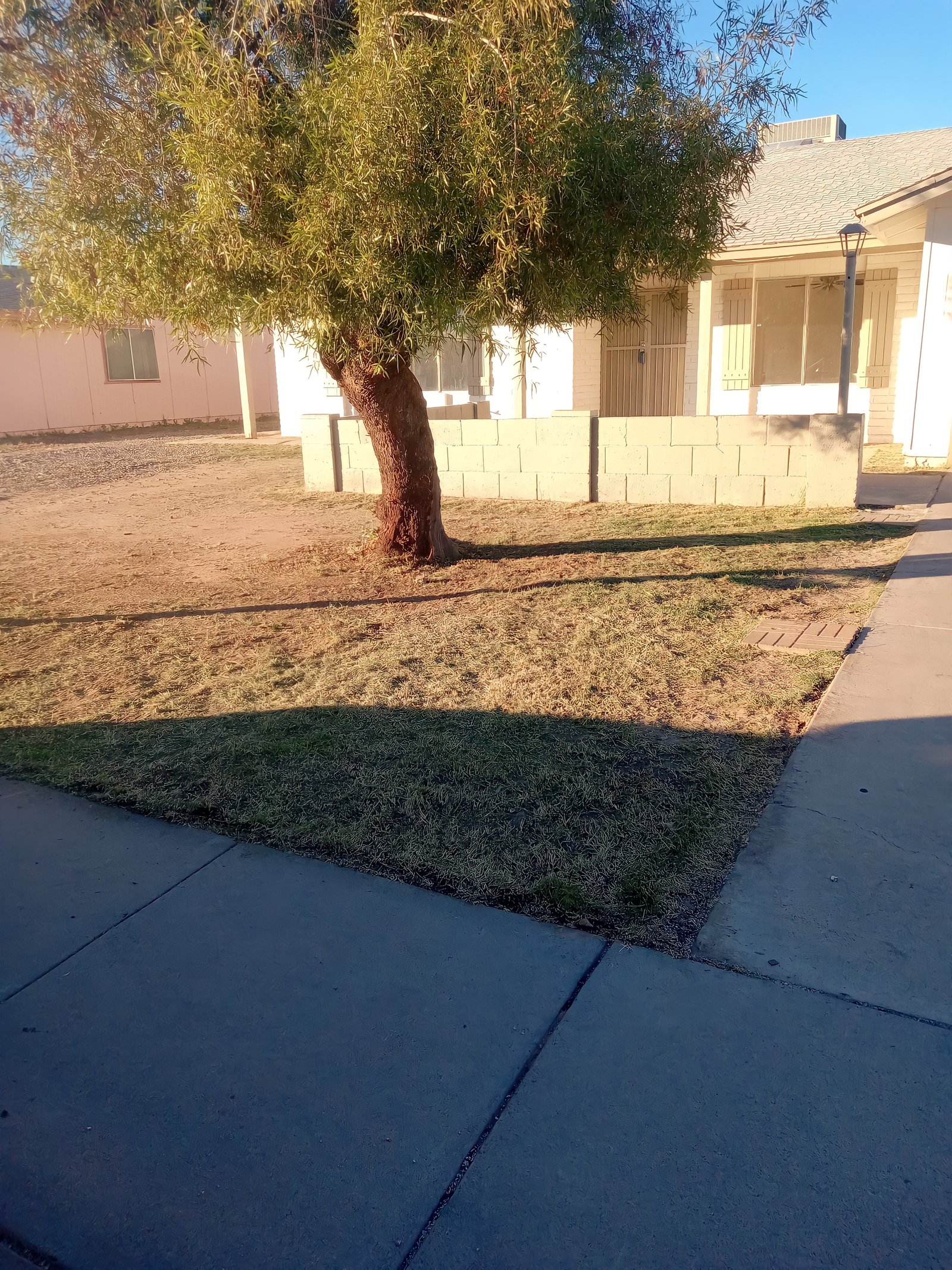Eduardo's Landscaping: leaf removal service
