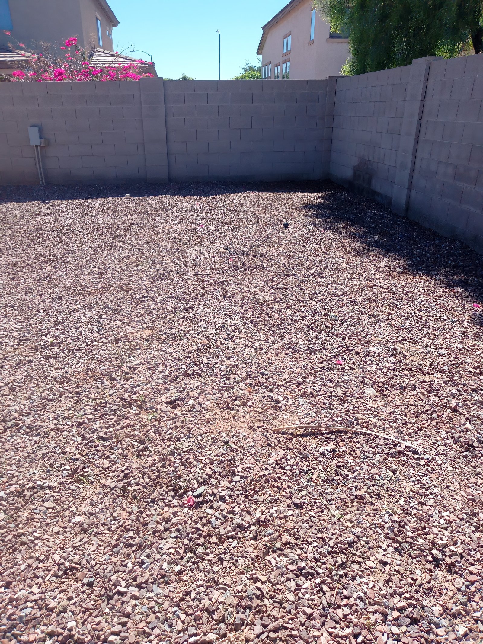 Eduardo's Landscaping: professional yard cleanup service