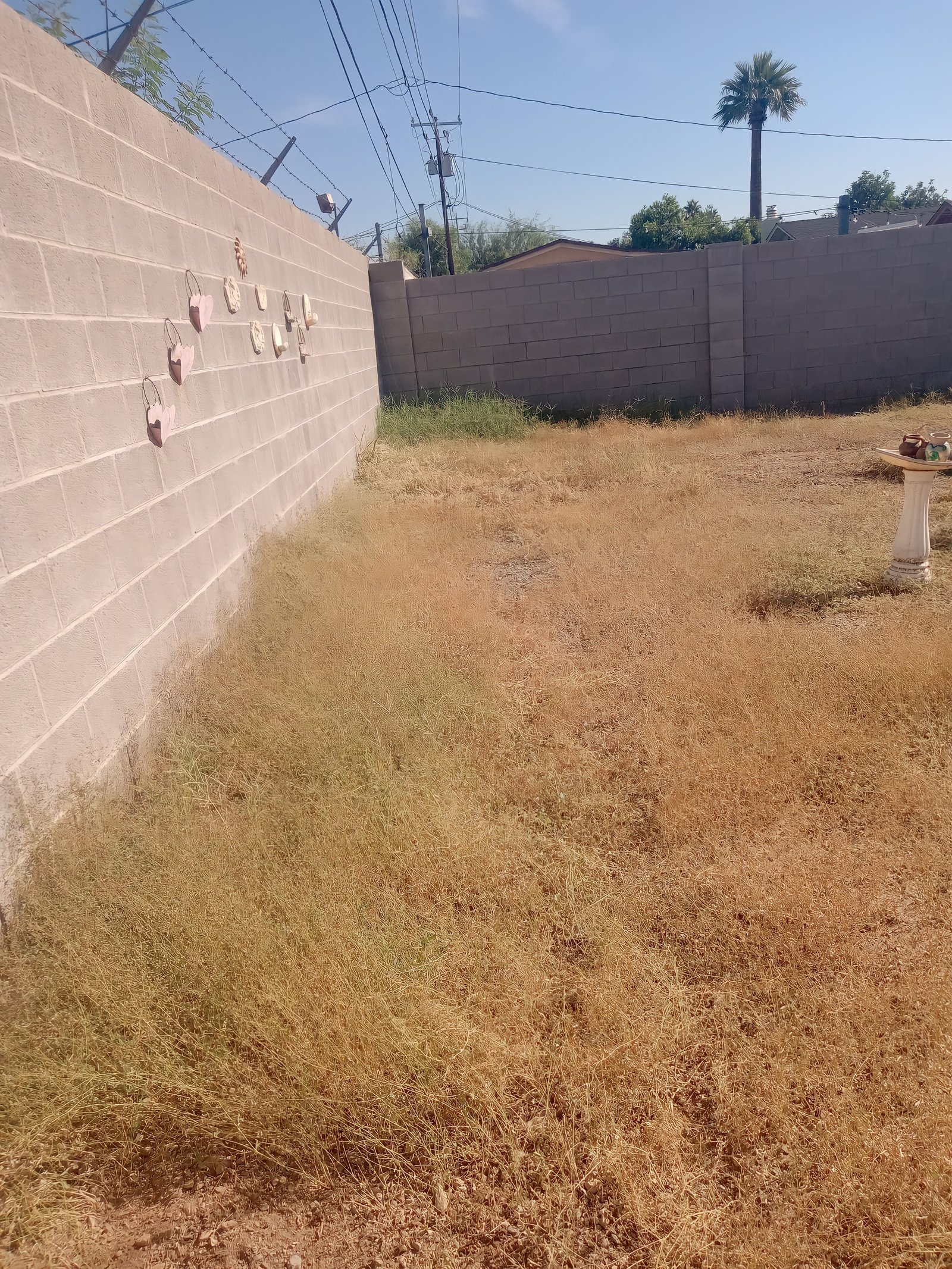 Eduardo's Landscaping: hedge trimming and garden maintenance