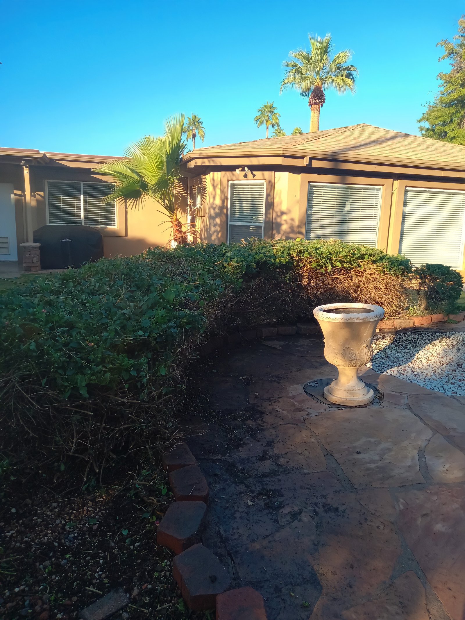 Eduardo's Landscaping: garden design and installation