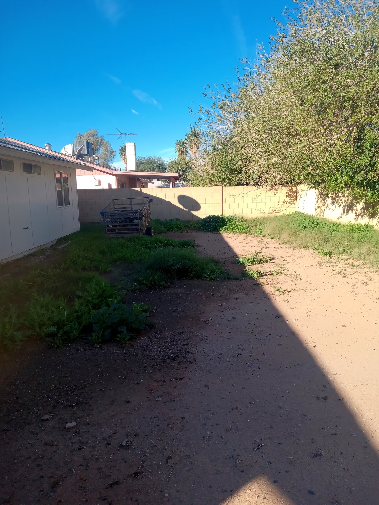 Eduardo's Landscaping: front yard curb appeal